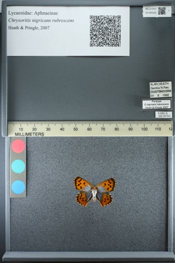 Media type: image;   Entomology 185526
